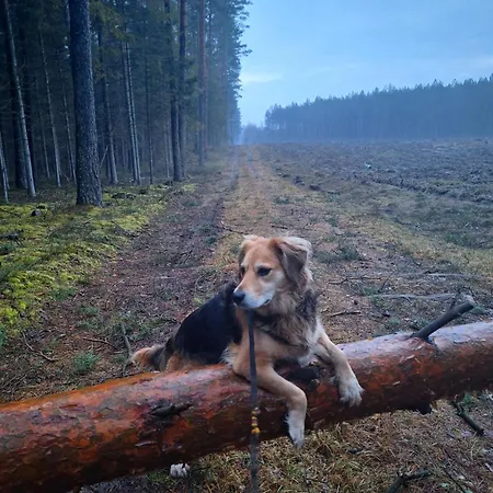 Uroczysko Sianow