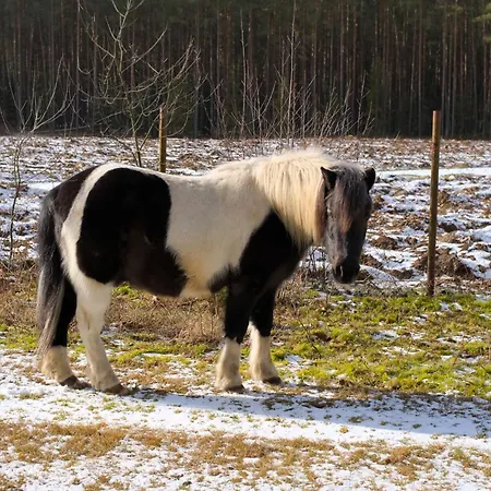 Uroczysko Lantgård Sianow